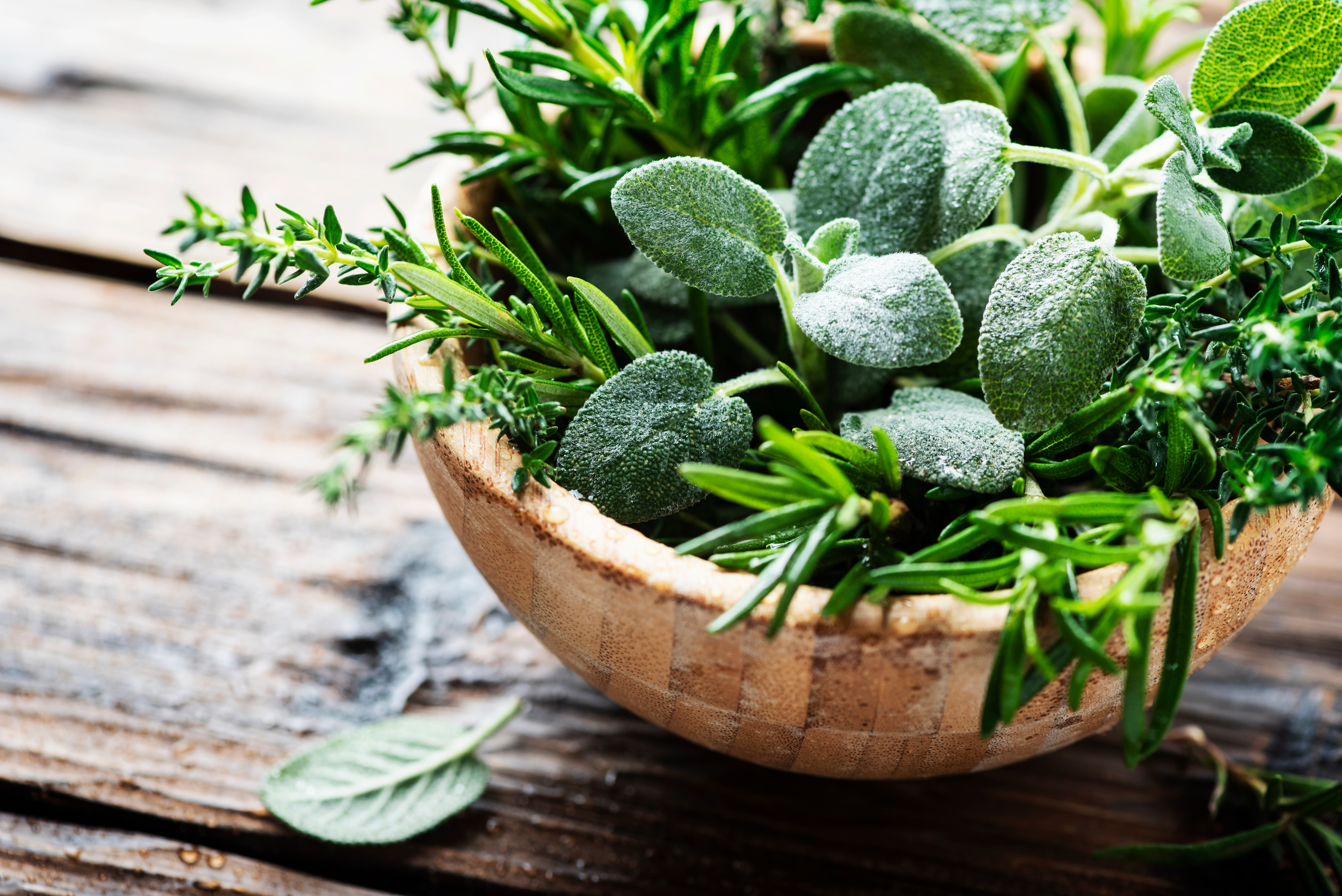 Herbs
